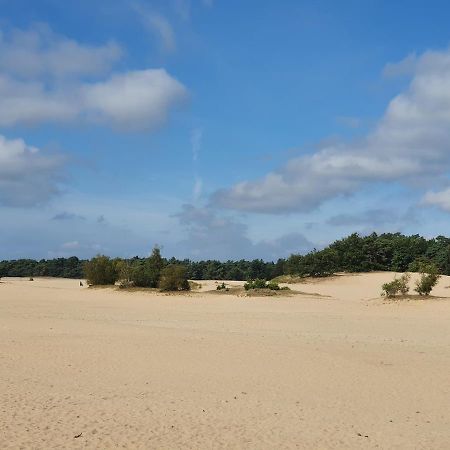 Chalet 11, In Het Bos Doornspijk Dış mekan fotoğraf