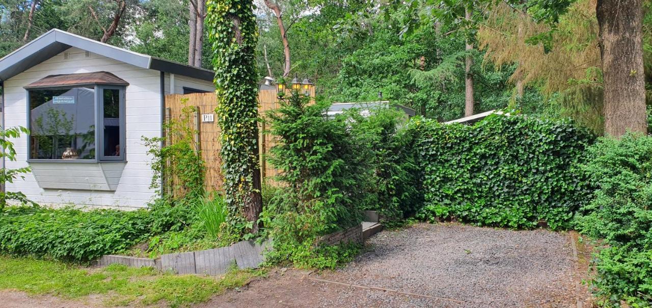 Chalet 11, In Het Bos Doornspijk Dış mekan fotoğraf
